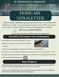 February-Newsletter-2025